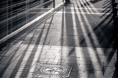 20150911_0045.jpg